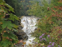 Another waterfall at Letchworth